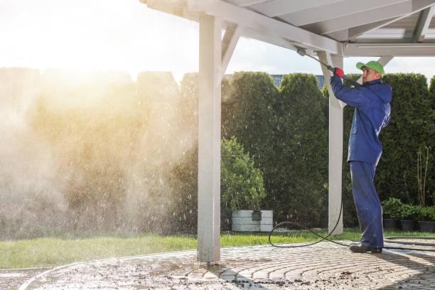 Animal Enclosure Cleaning in Laingsburg, MI
