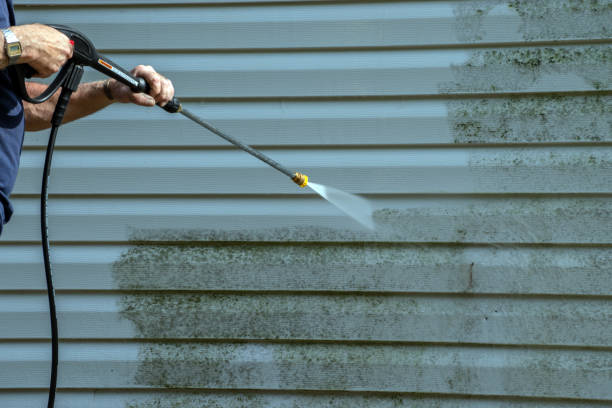 Best Gutter Cleaning  in Laingsburg, MI